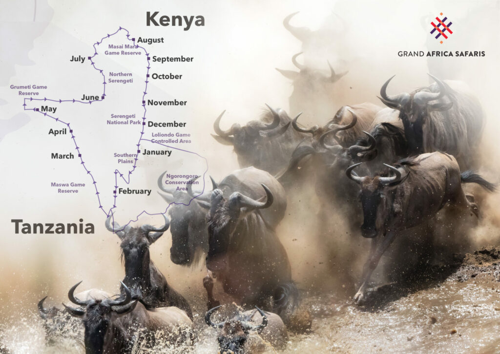 A guide to the Great Migration in Africa - Grand Africa Safaris