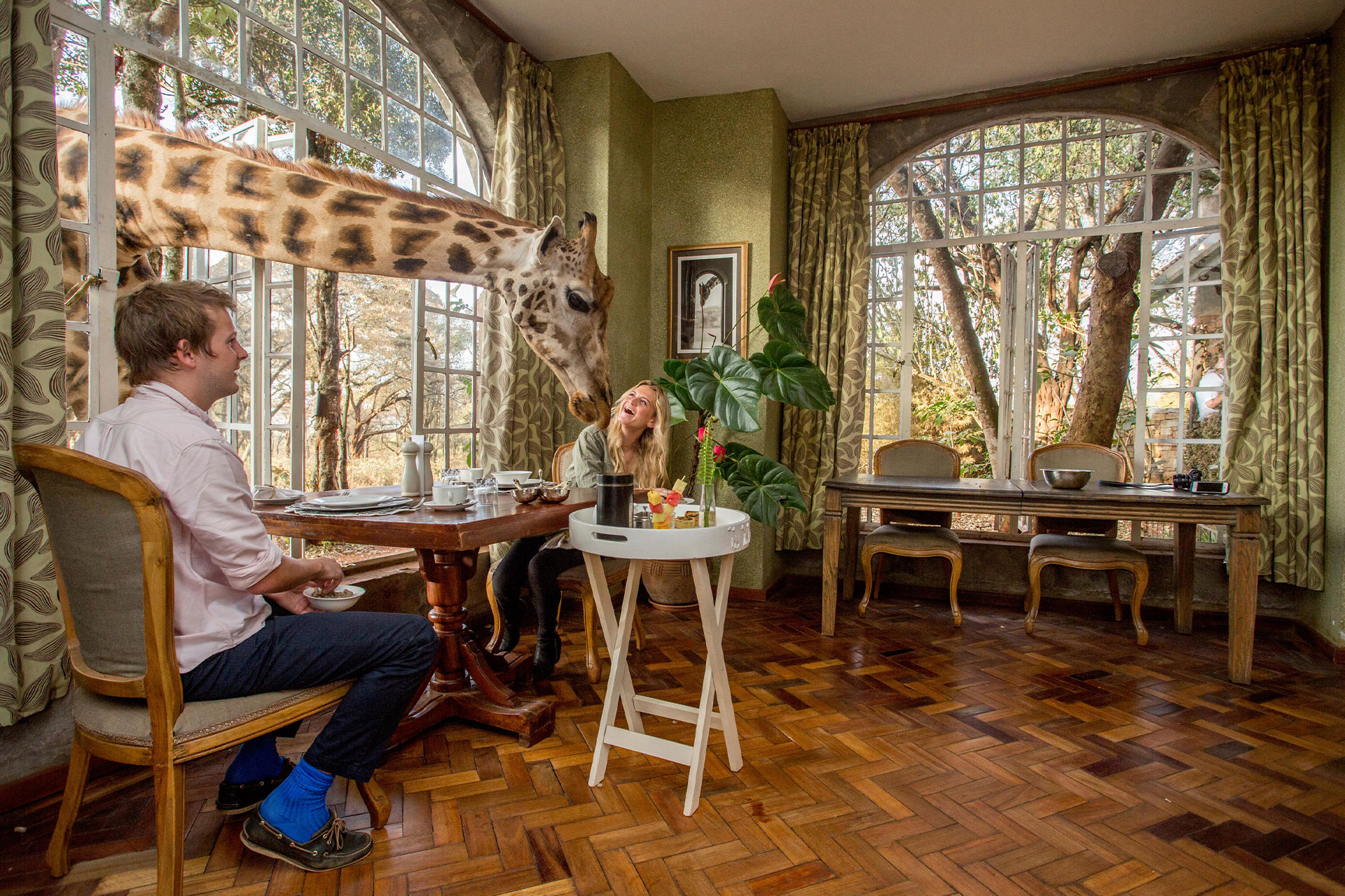 A giraffe’s head and neck reaching into an open window as a couple have breakfast at Giraffe Manor, Kenya – a bucket list experience in East Africa.