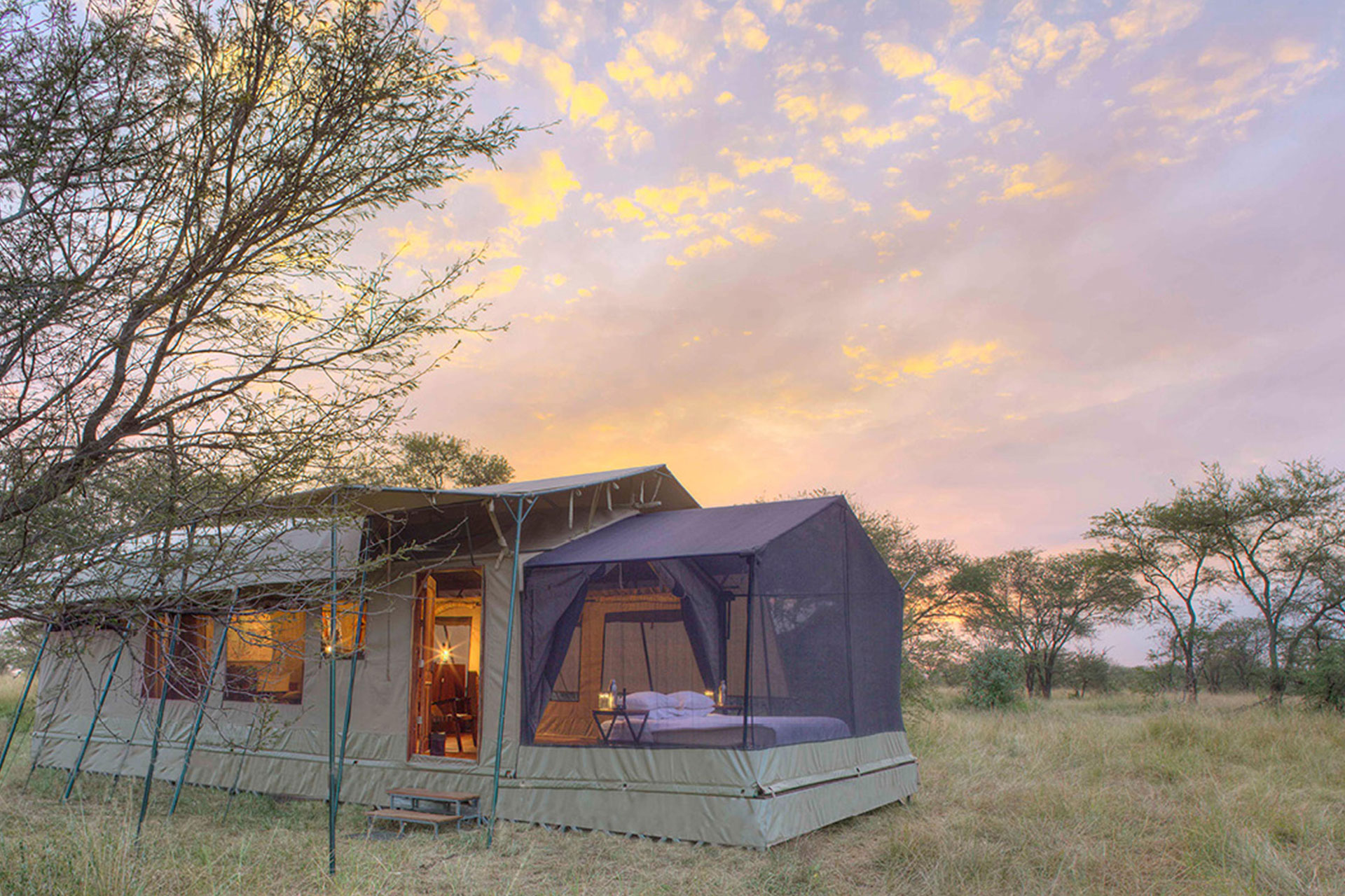 Stargazing tents at Olakira Migration Camp – a top choice for clients wanting to visit the Serengeti for the great wildebeest migration calving season.