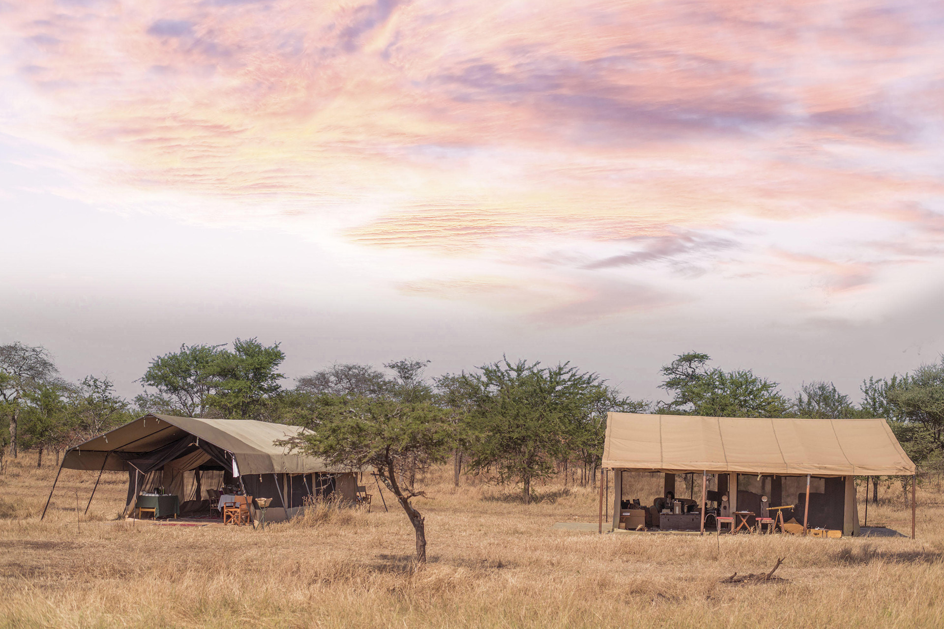Two tents at Royal Migration Camp Ndutu – a top choice for clients wanting to visit the Serengeti for the great wildebeest migration calving season.