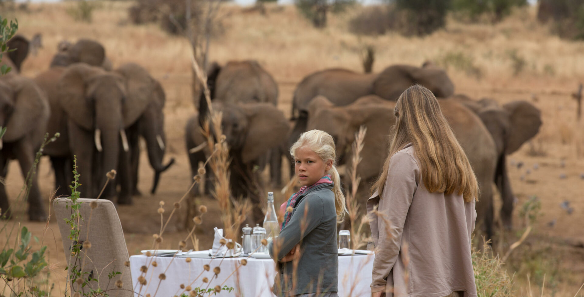 A young girl taking in the scenes around the waterhole - Family safaris