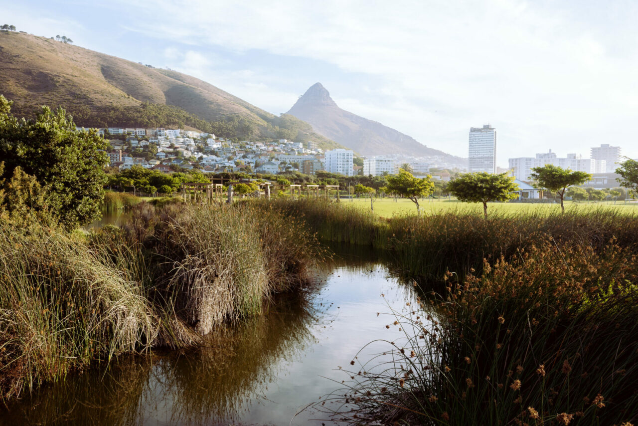 Green Point Urban Park with Lion’s Head in the background - one of the places to go in Cape Town with kids.