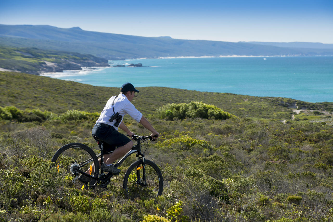A cyclist and keen whale watcher in De Hoop Nature Reserve - another wonderful place for whale watching in South Africa.