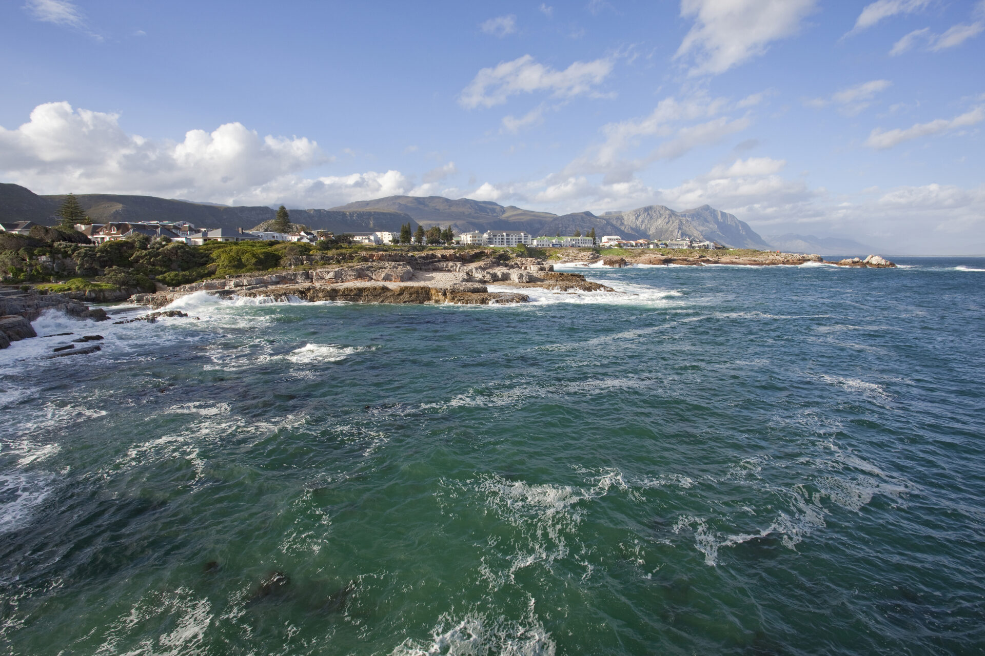 The Hermanus coastline - the top place for whale watching in South Africa.