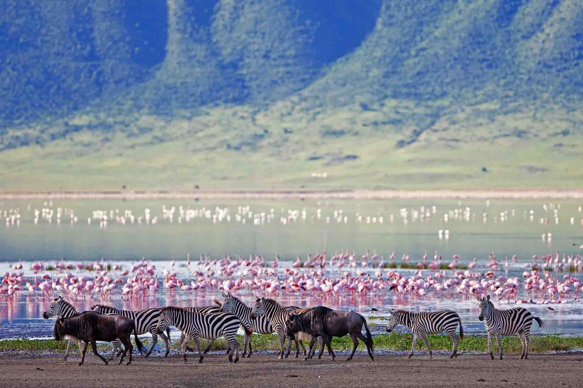 The magnificent Ngorongoro Crater in the Serengeti in Tanzania. | Photo credit: Sanctuary Ngorongoro Crater Camp
