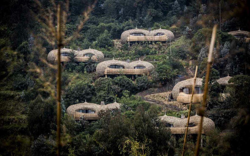 External view of the double villas at Bisate Lodge - one of the top luxury treehouses in Africa.