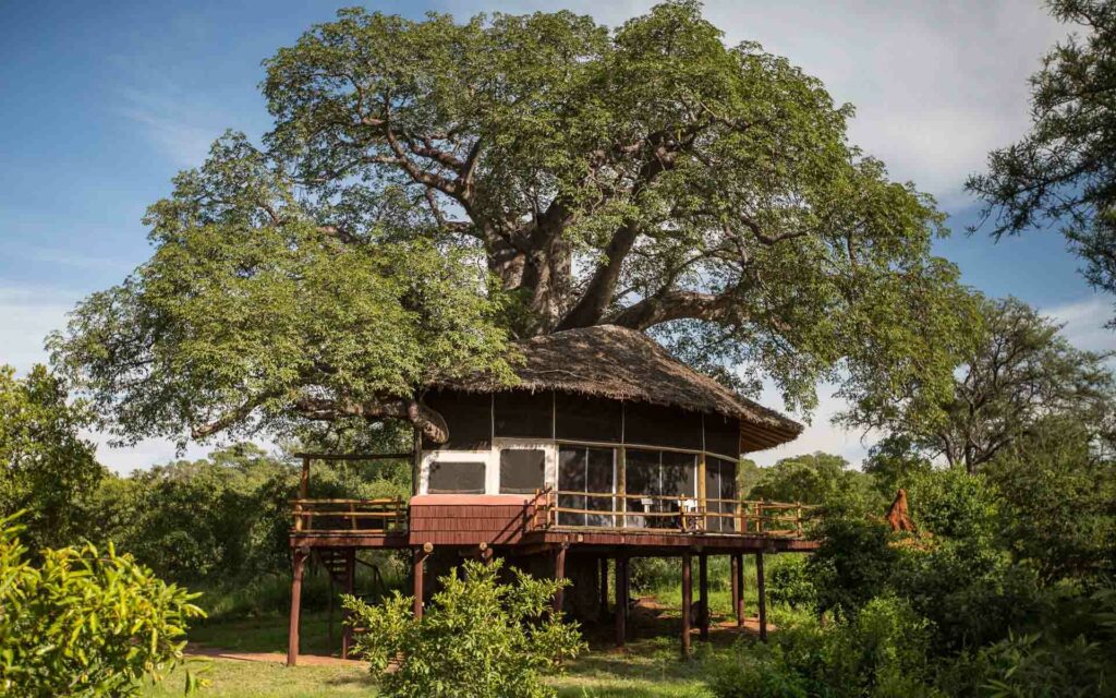 Exterior view of one of the elevated suites at Elewana Tarangire Treetops - one of the top luxury treehouses in Africa.
