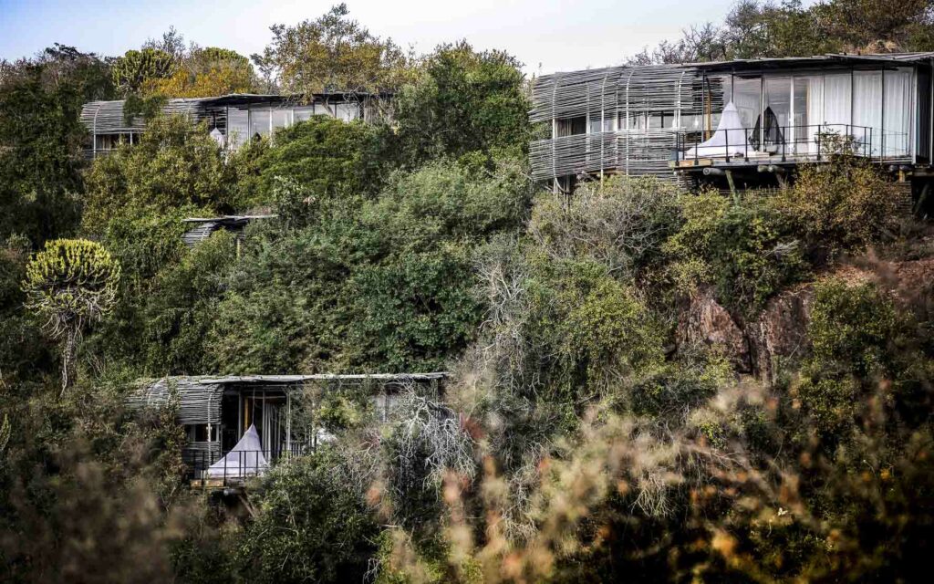 An external view of Singita Lebombo’s accommodation - one of the top luxury treehouses in Africa.