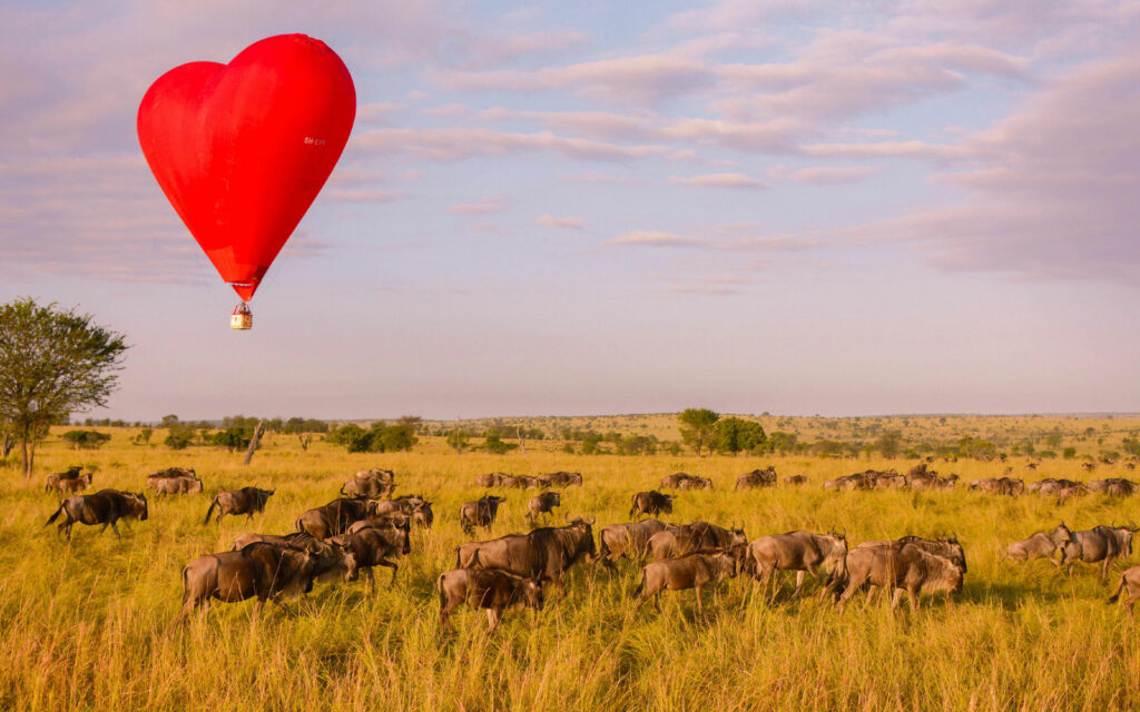 Hot air ballooning over the Serengeti while on honeymoon in Africa