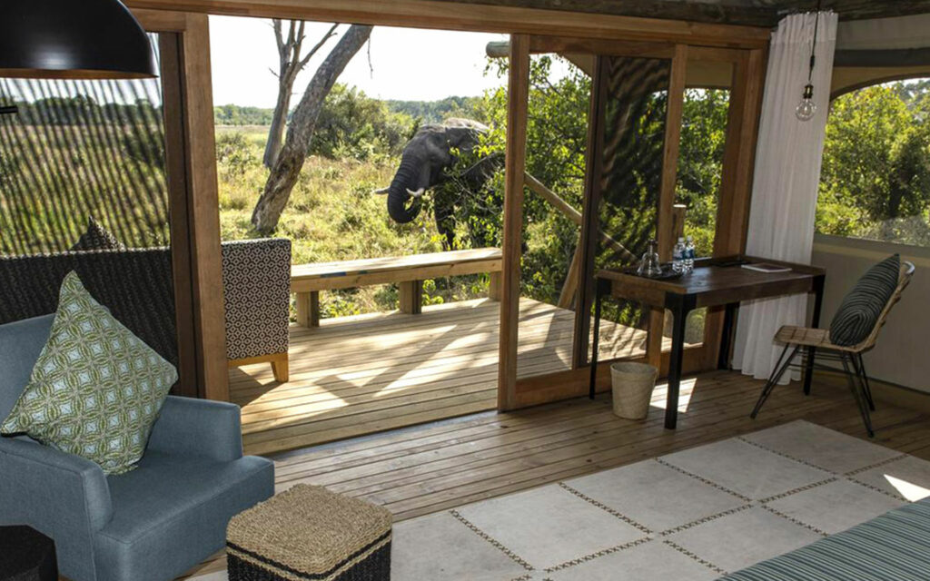 Looking out from the tent at Sable Alley with Grand Africa Safaris