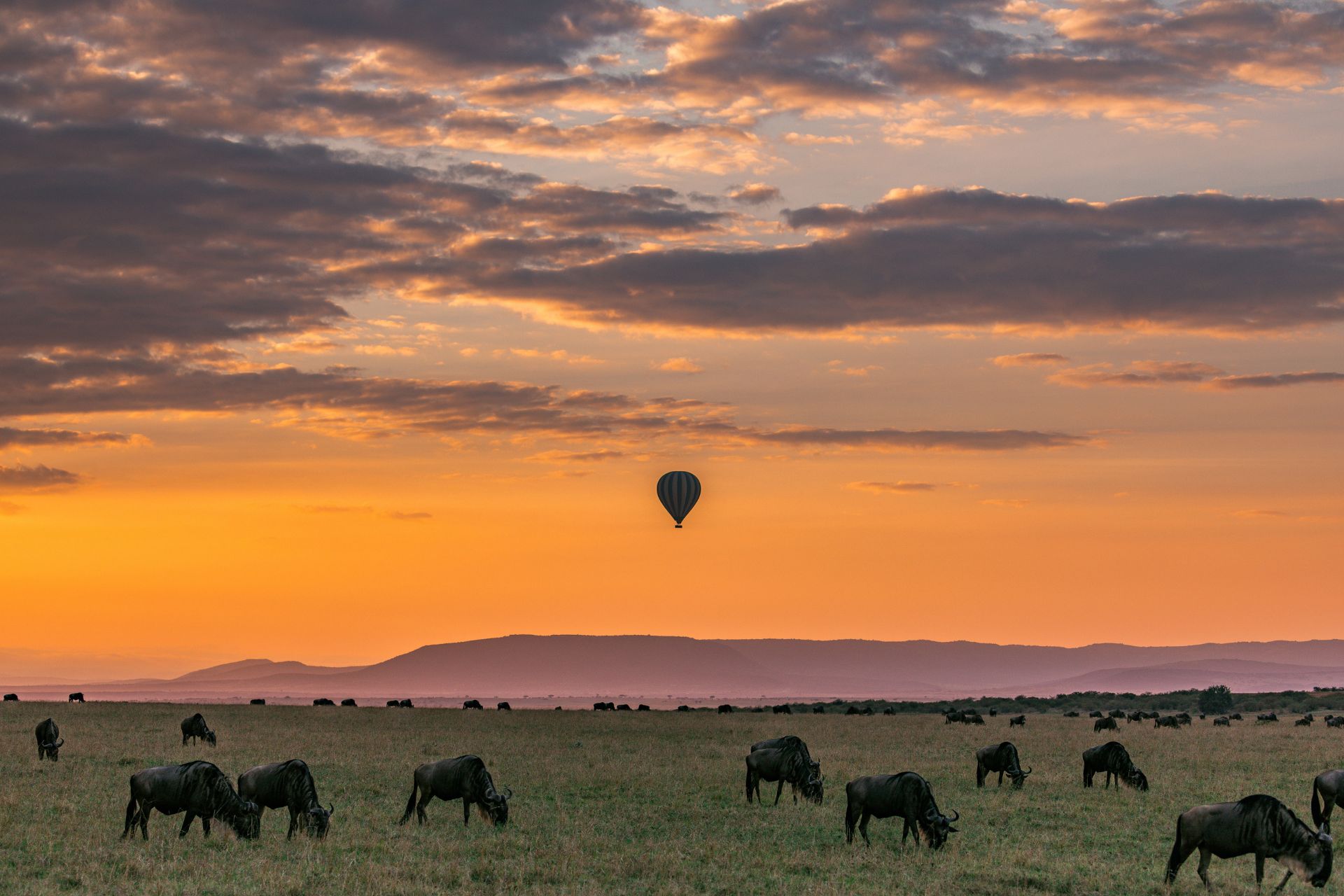Hot air balloon safari with Ker & Downey Africa