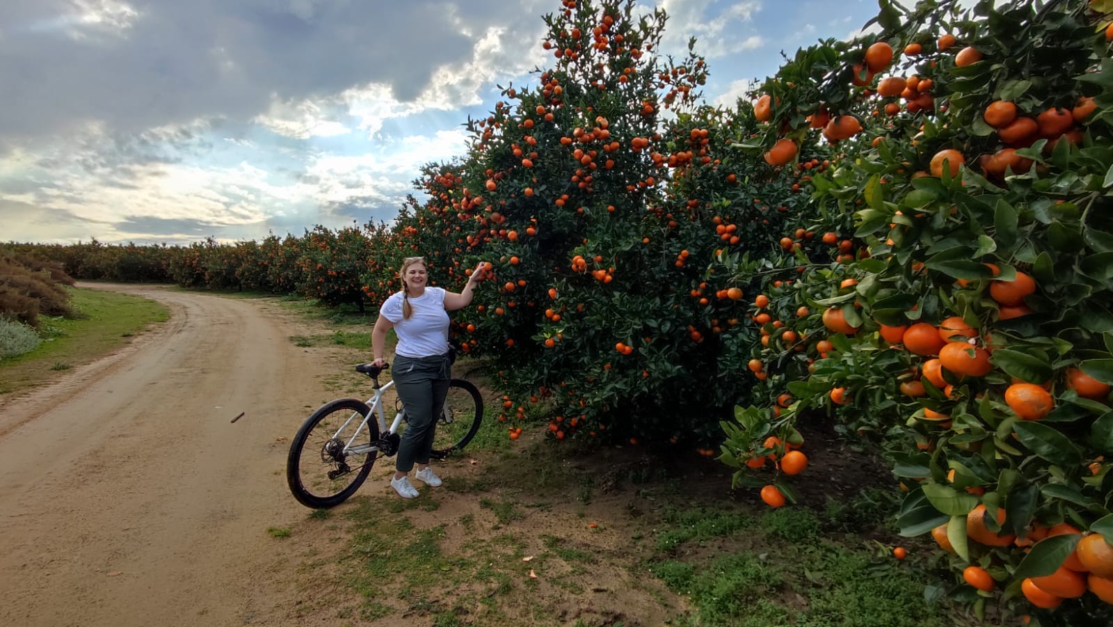 Biking through Babylonstoren’s orchards