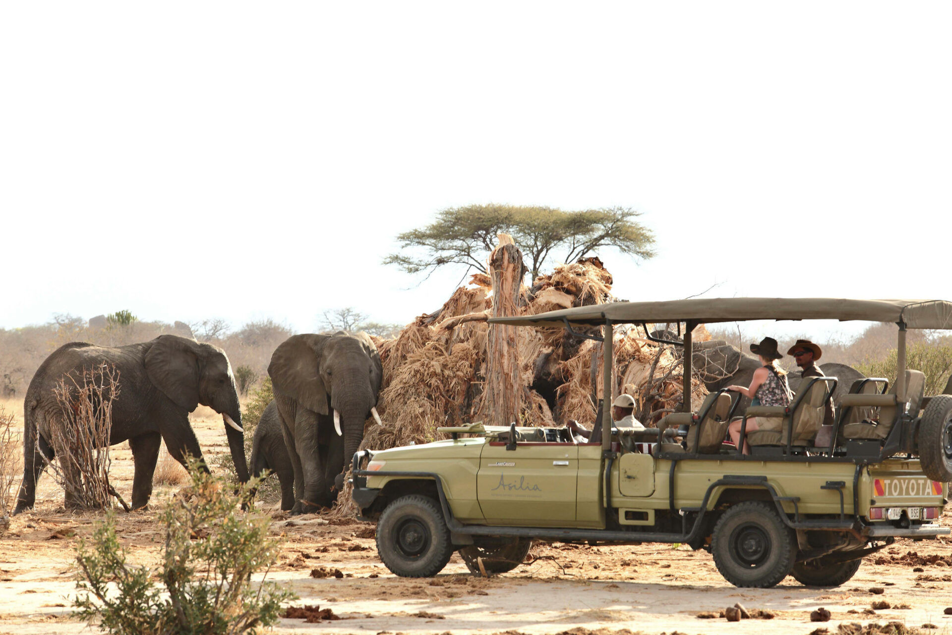 Jabali Private House with guests on a private game drive, with Grand Africa Safaris