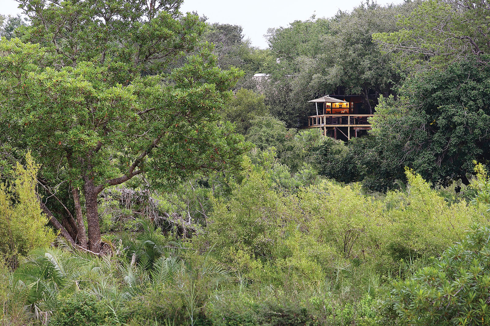Londolozi Tree Camp with the bush seen from the deck with Grand Africa Safaris
