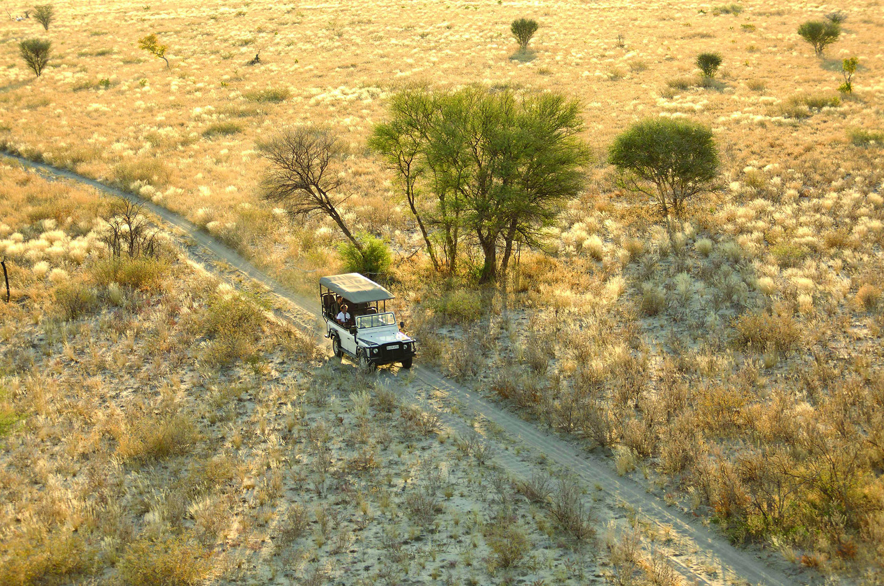 game drive vehicle at Feline Fields with Grand Africa Safaris